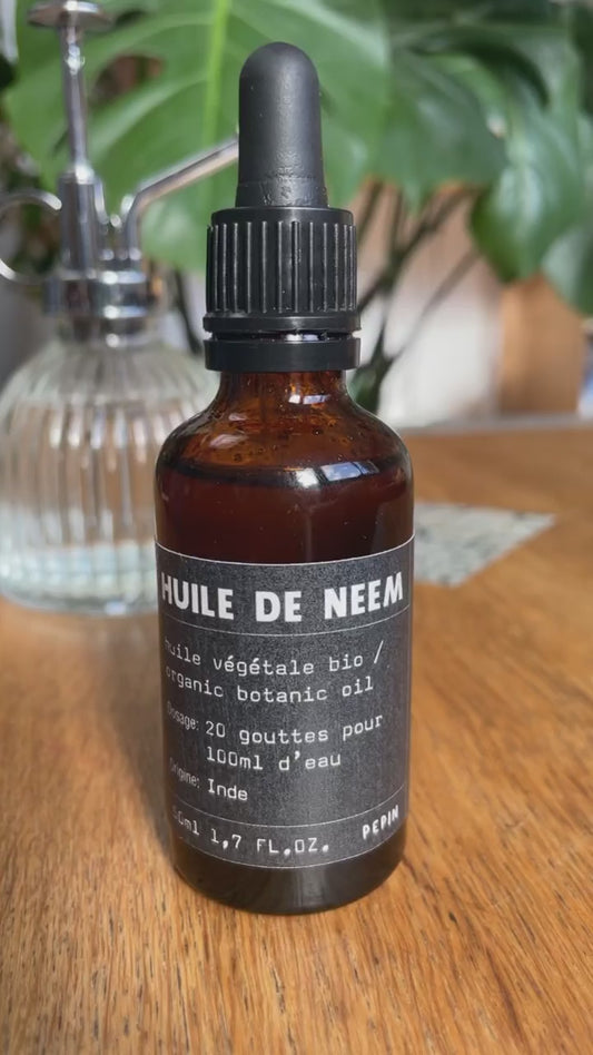 Eau de saule : Une hormone de bouturage naturelle - Promesse de Fleurs