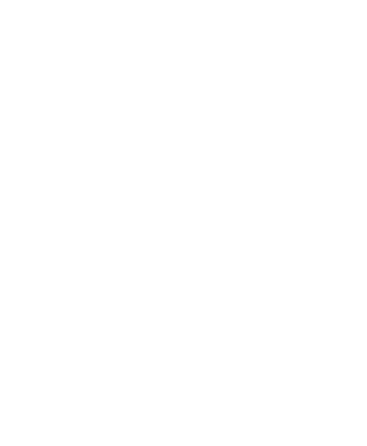 Lock Icon