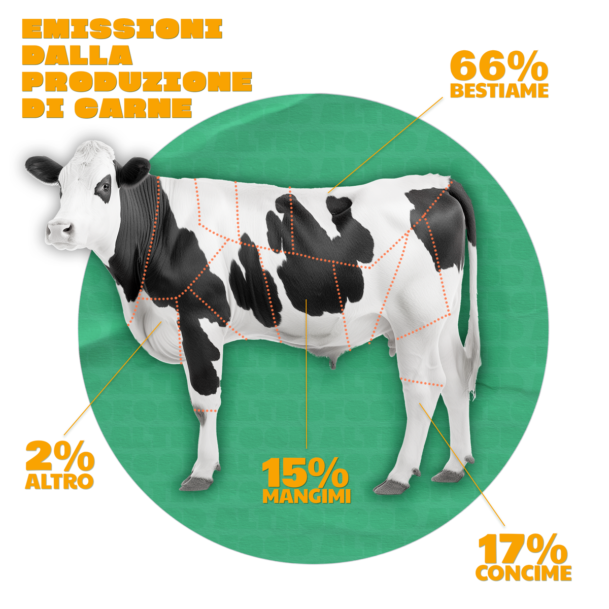 ALTROFOOD • Infografica Emissioni Carne.png__PID:867154d5-351f-4489-8040-466588eaeb74