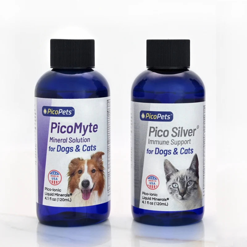 Pet Supplements for Diarrhea and Constipation | PicoPets