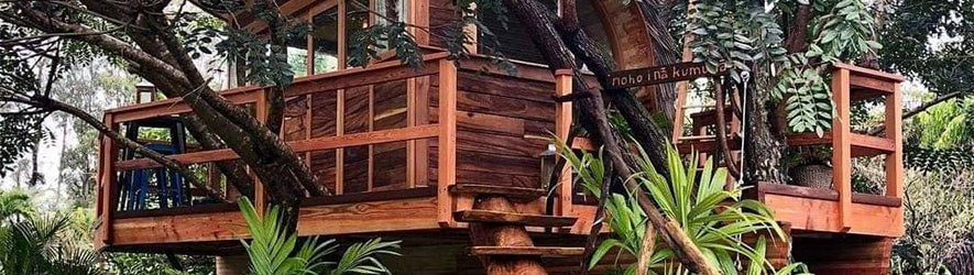 building a treehouse consideration