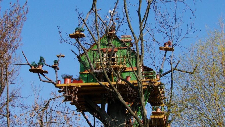 creative treehouse design