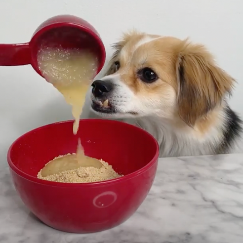 applesauce being poured in a bowl while dog looks on