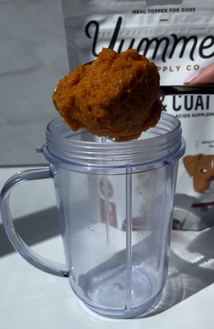 Scoop of canned pumpkin being added to a blender cup