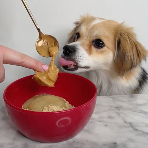 peanut butter being added to a bowl while dog tries to get a lick
