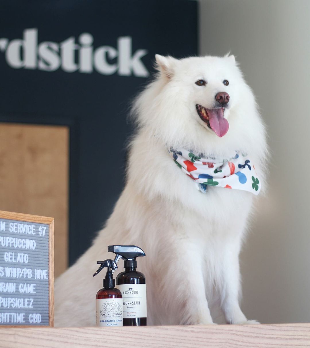 Dog Boutiques Where You Can Pamper Your NoVA Pet