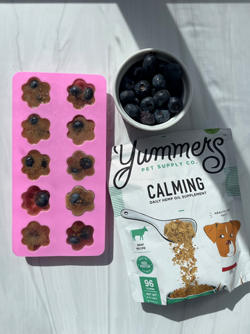 Yummers DIY Calming Blueberry Bites