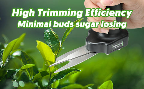 Handheld Electric Scissors for Bud Leaf Trimming-2