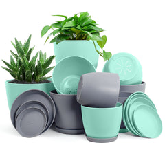 https://cdn.shopify.com/s/files/1/0636/9538/8889/files/FastForwardPremiumSetof10IndoorPlantPotswithDrainage_4_240x240.jpg?v=1694082859