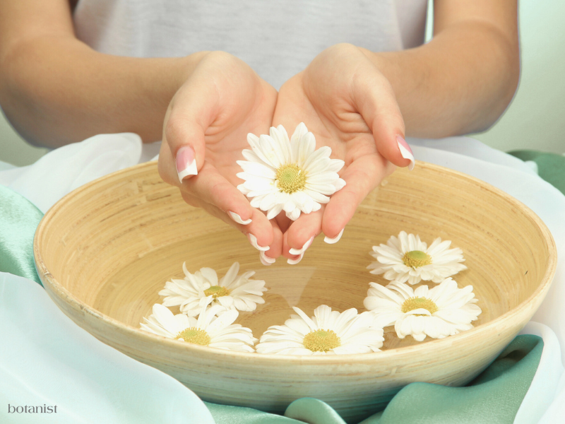 Healthy Nails Start with Daily Care