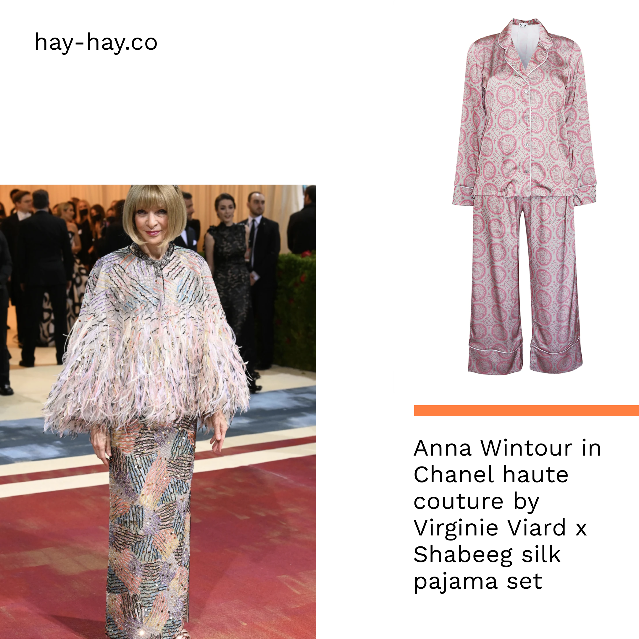 AI created visual for hay-hay met gala with Anna Wintour 2