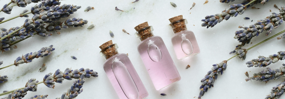 Lavendelolja i glasflaskor och torkad lavendel.