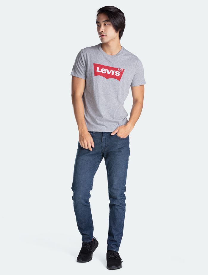 LEVI'S® Men's Graphic Set-in Neck T-Shirt 'Grey'