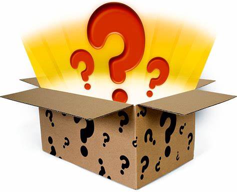 $100 Surprise Mystery Box – Kahikinakreations