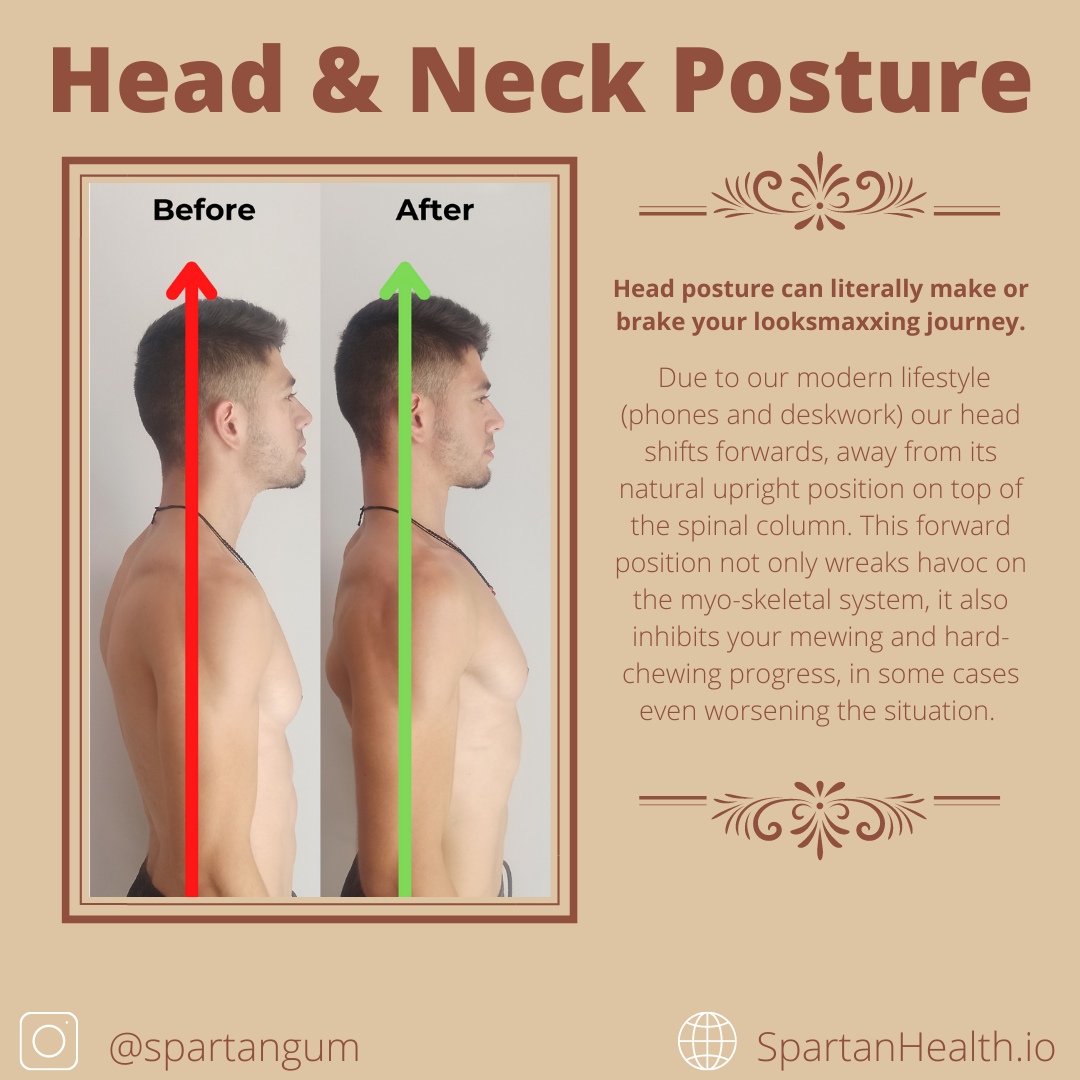 Head and Neck Posture + Mewing – Spartan Health™