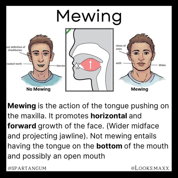 Mewing: the viral technique for jaw definition - HIGHXTAR.