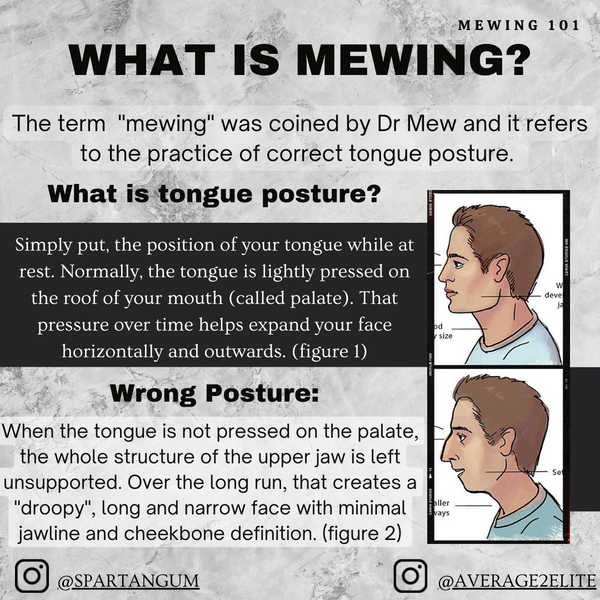 O que é Mewing 