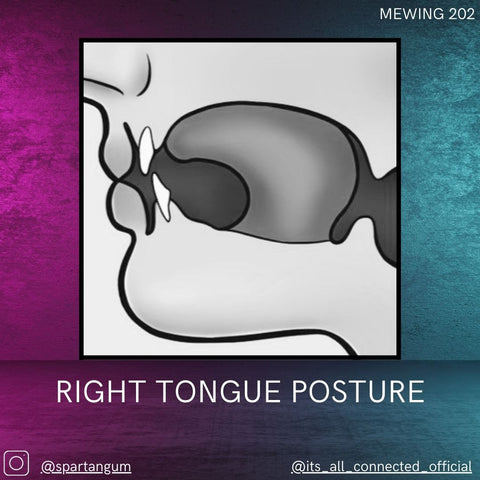 Correct tongue posture back third