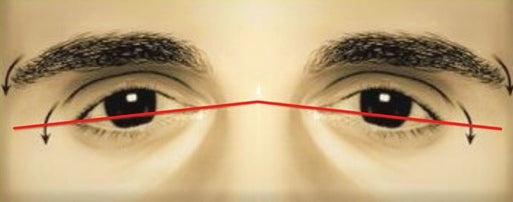 What is an Eye canthal Tilt? Why is a positive tilt more attractive than a  negative tilt among males? - PinkMirror Blog