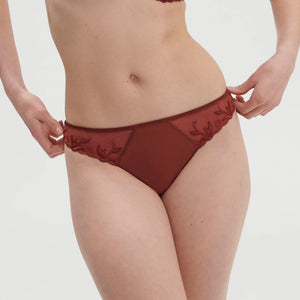 Andora Thong - Underpinnings Lingerie