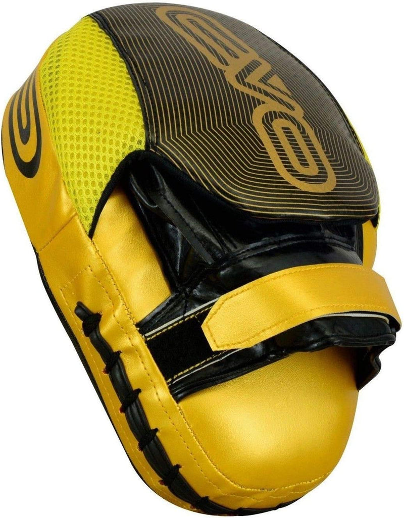 EVO Fitness Boxing Gloves and Focus Pads Deal