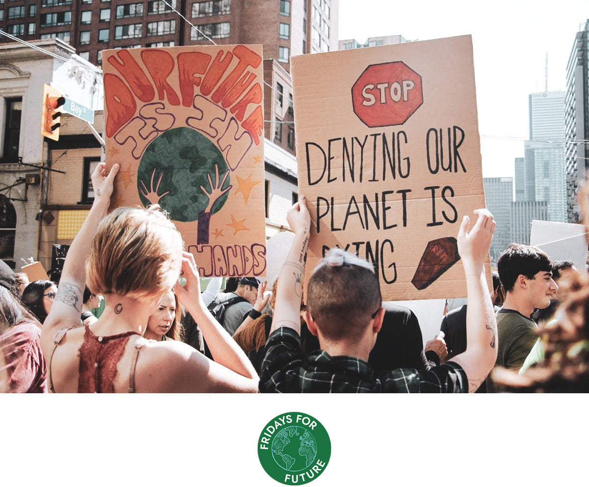 Fridays for Future Climate Strike Greta Thunberg