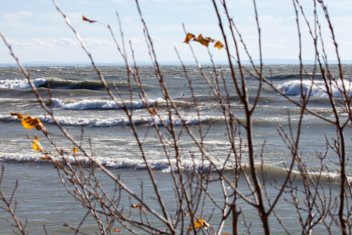 Gales of November on Lake Erie