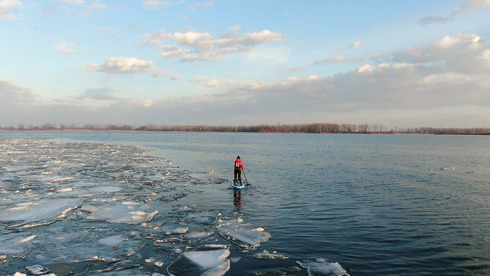 SUP in Winter Toronto Diana Lee Photograph by Matthew Arbied