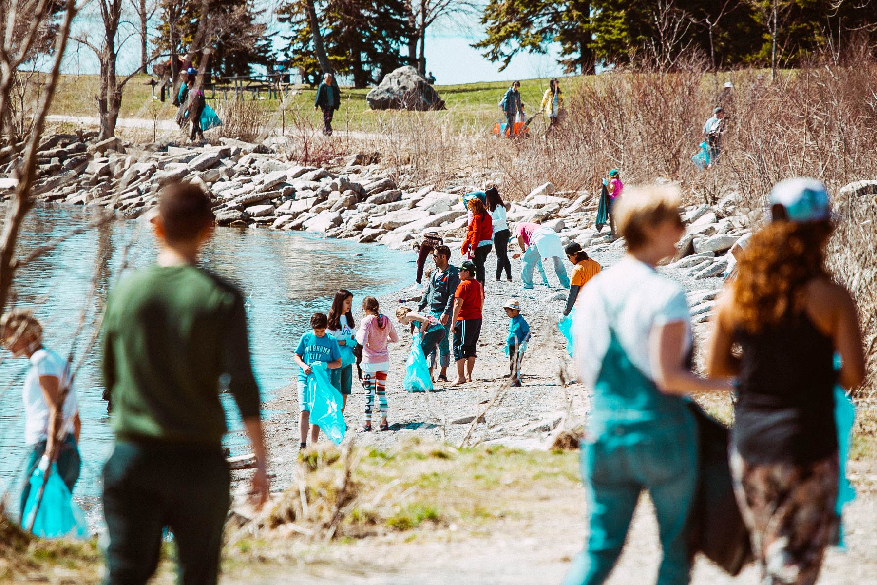 The Cove Clean-up