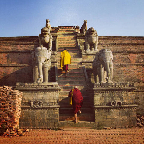 Monks walk up Sky temple staircase - Caring for your seeds