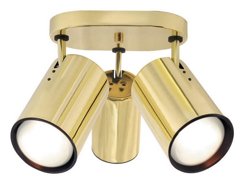 Nuvo Lighting 76-423 Three Light R30 Flat Cylinder Adjustable Head Flush Ceiling Mount in Polished Brass Finish