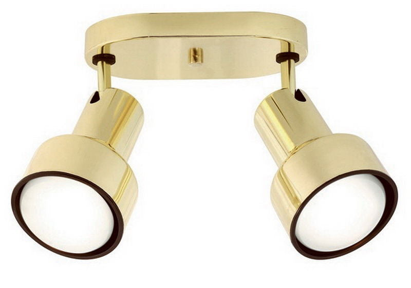 Nuvo Lighting 76-409 Two Light R30 Step Cylinder Adjustable Head Flush Ceiling Mount in Polished Brass Finish