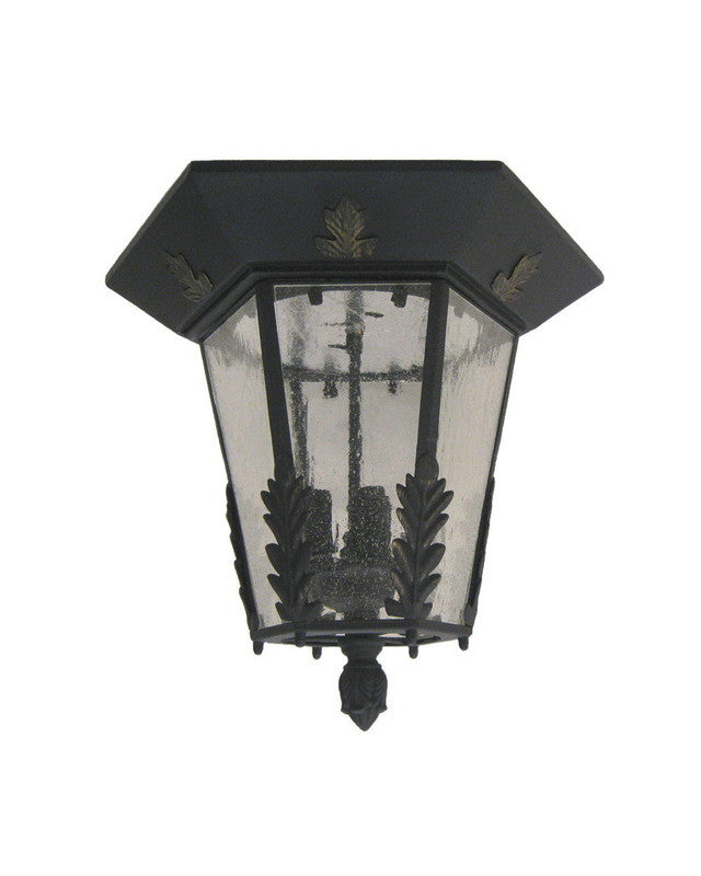 Trans Globe Lighting 46205 EI Three Light Exterior Outdoor Ceiling Mount in Enriched Iron Finish