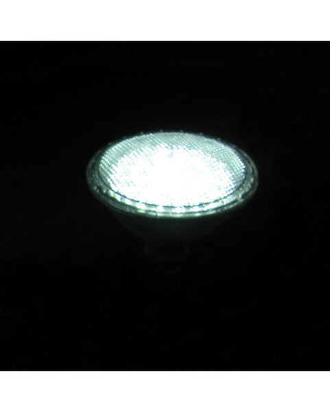 Razr RDL-720 Box of 12 WHITE LED PAR20 Bulbs