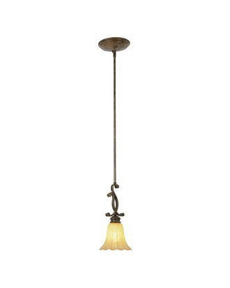 Trans Globe Lighting 2220 BRG Tuscan 1 Light Mini Pendant in Burnished Gold Finish