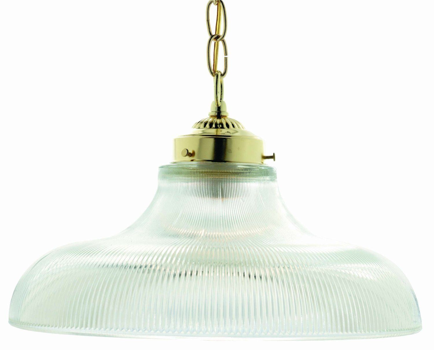 Nuvo Lighting SF76-262 One Light Mini Pendant Chandelier in Polished Brass Finish