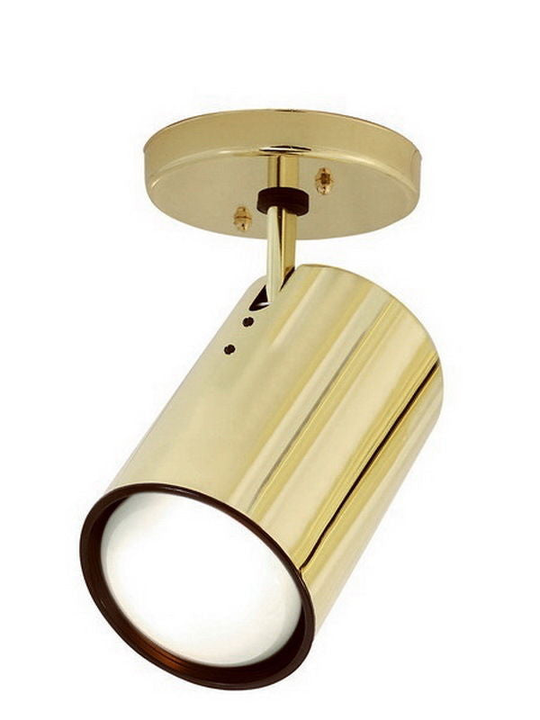 Nuvo Lighting 76-419 One Light R30 Flat Cylinder Adjustable Head Flush Ceiling Mount in Polished Brass Finish