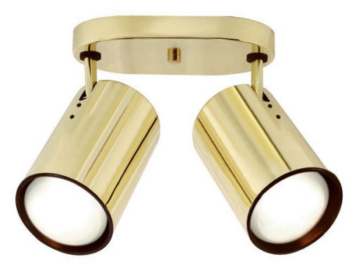 Nuvo Lighting 76-421 Two Light R30 Flat Cylinder Adjustable Head Flush Ceiling Mount in Polished Brass Finish