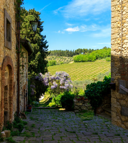 Paesaggio Chianti