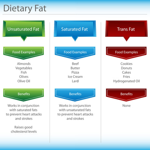 Dietary Fat types