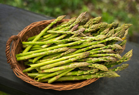 Asparagus