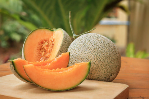 Cantaloupe Melon