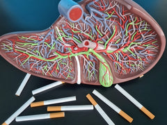 Smoking effect on metabolism