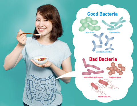Good and Bad bacteria