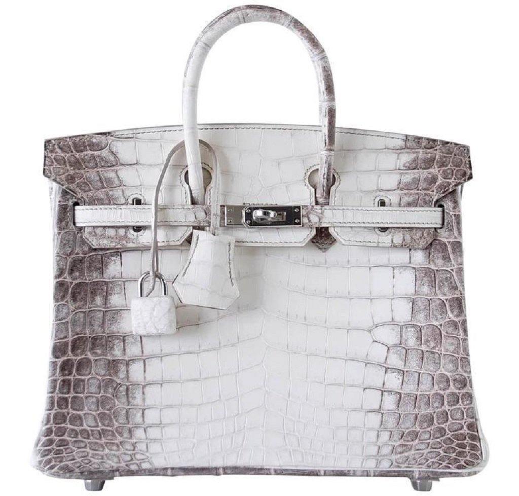 himalayan croc birkin