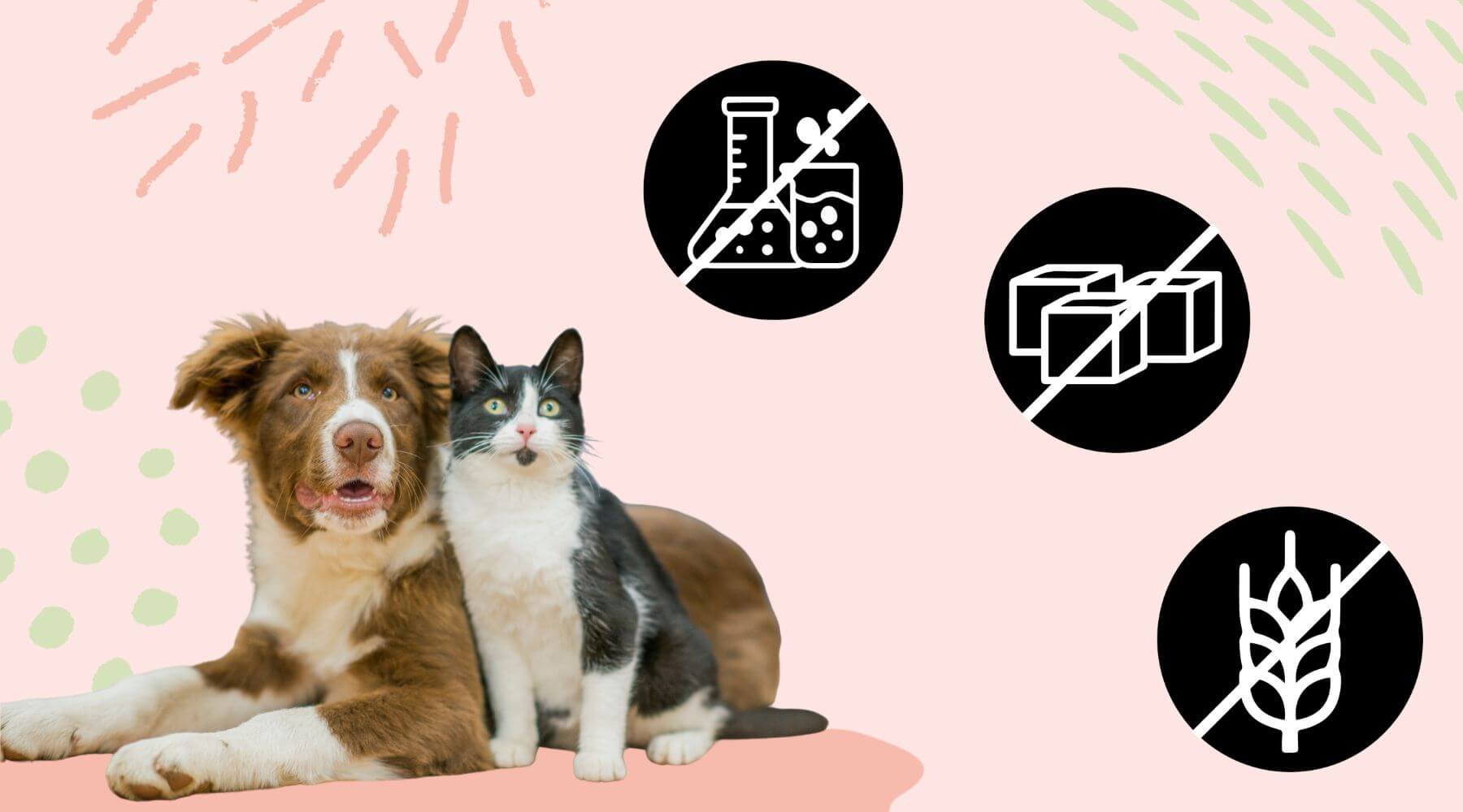 Hund und Katze liegen zusammen auf den Boden und sehen in Richtung der STRAYZ Icons.