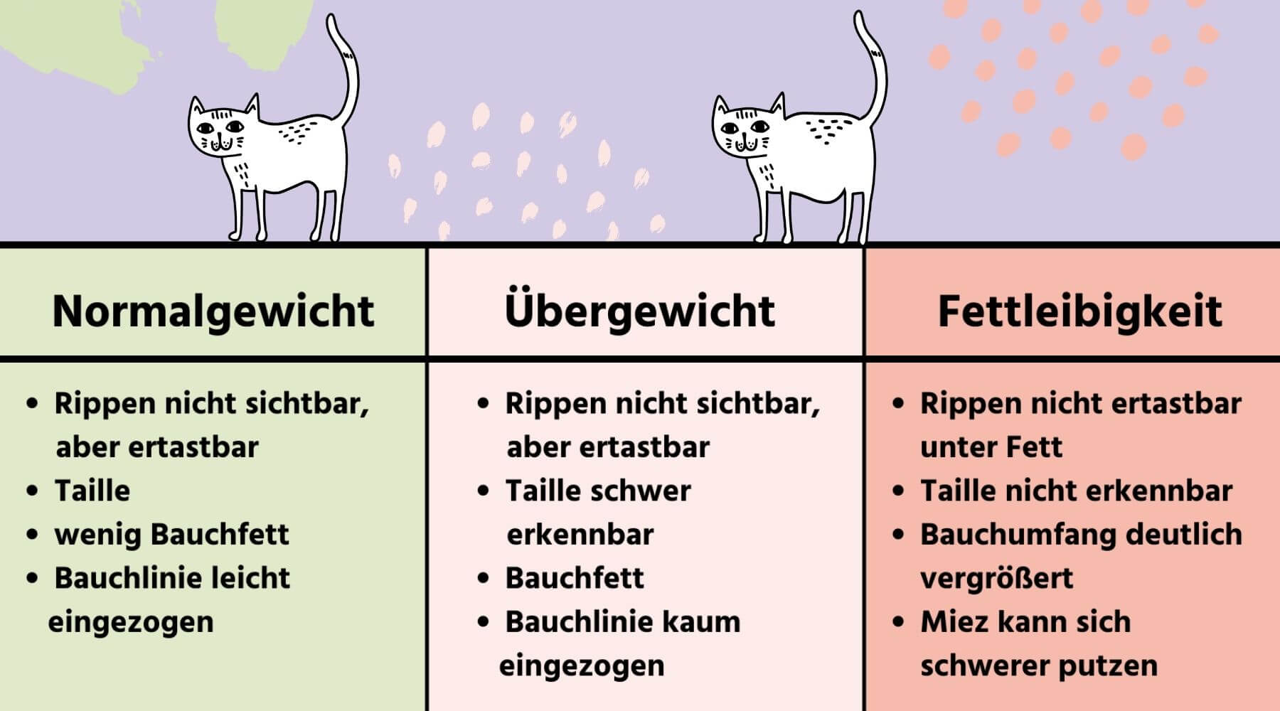 Tabelle der Symptome von Übergewicht bei Katzen.