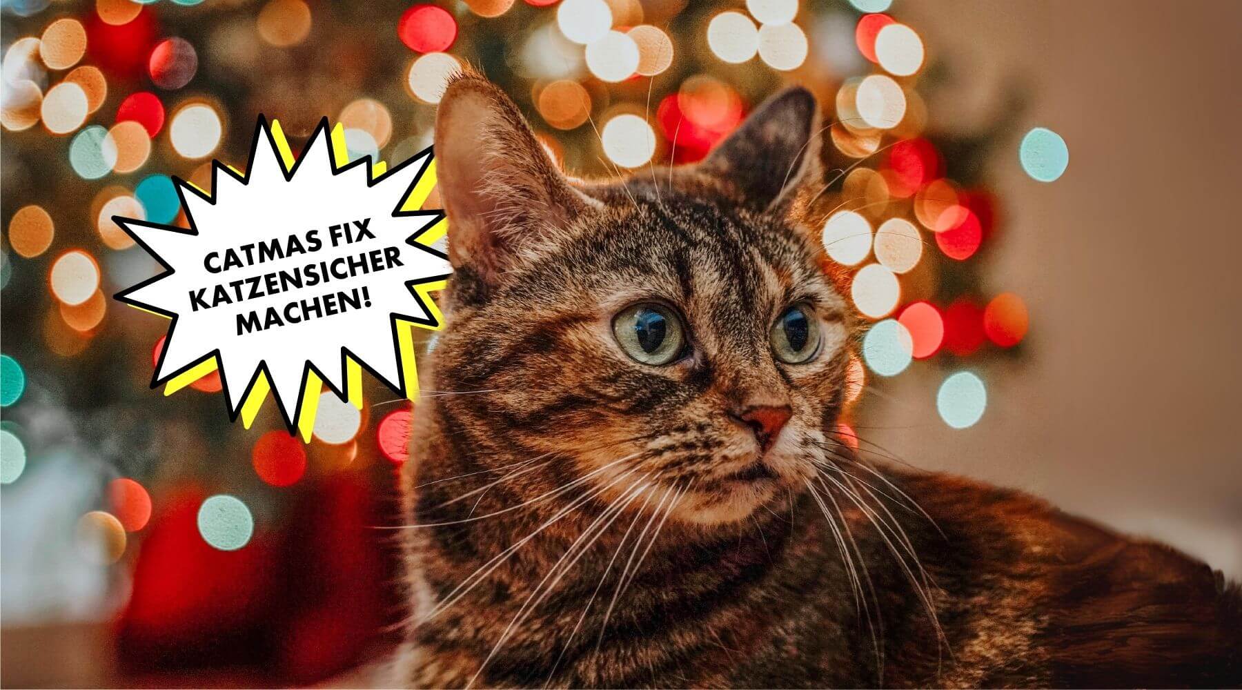 Weihnachten-mit-Katze-Weihnachtsbaum-geschmückt-katzensicher