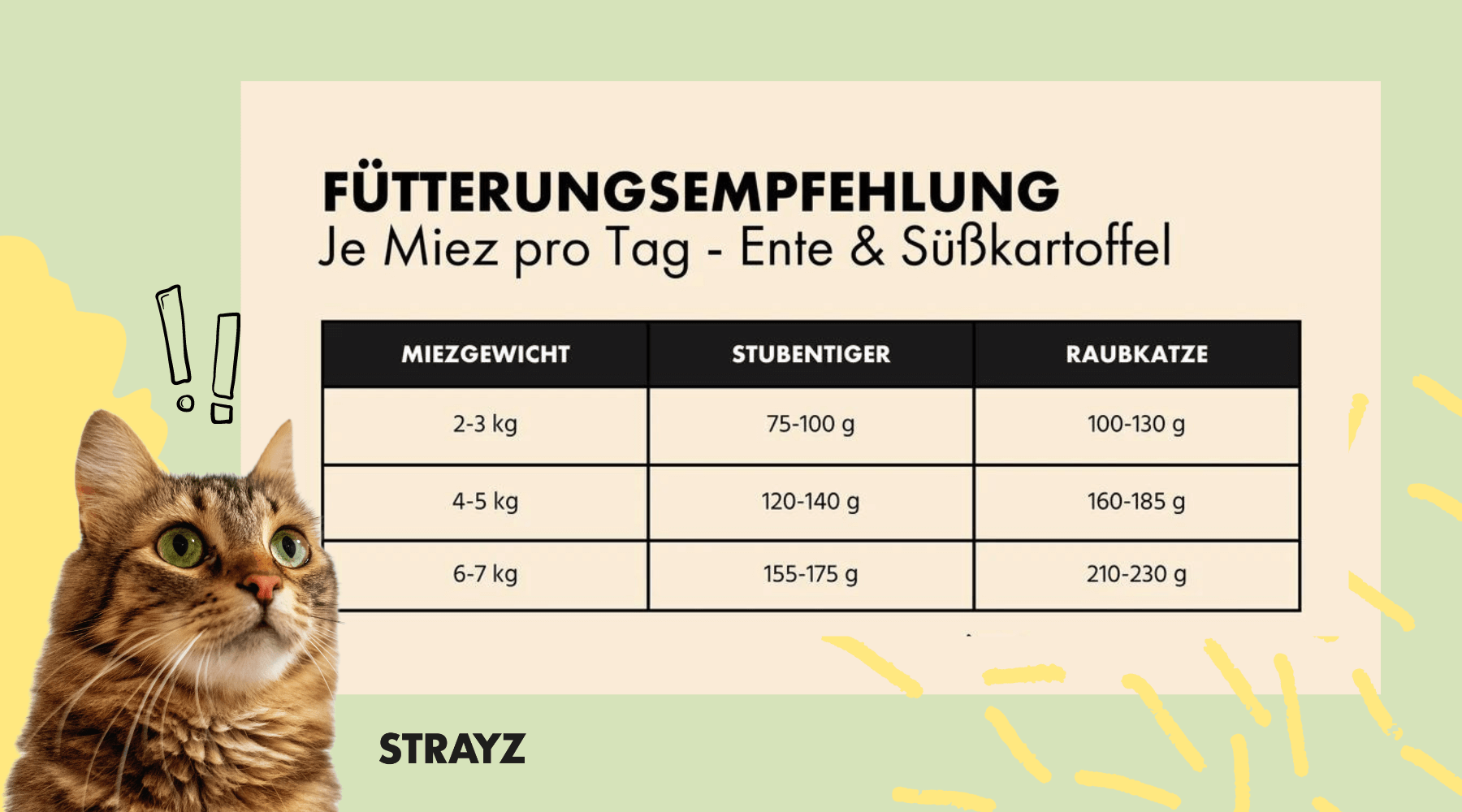 STRAYZ Fütterungsempfehlung Katzenfutter.