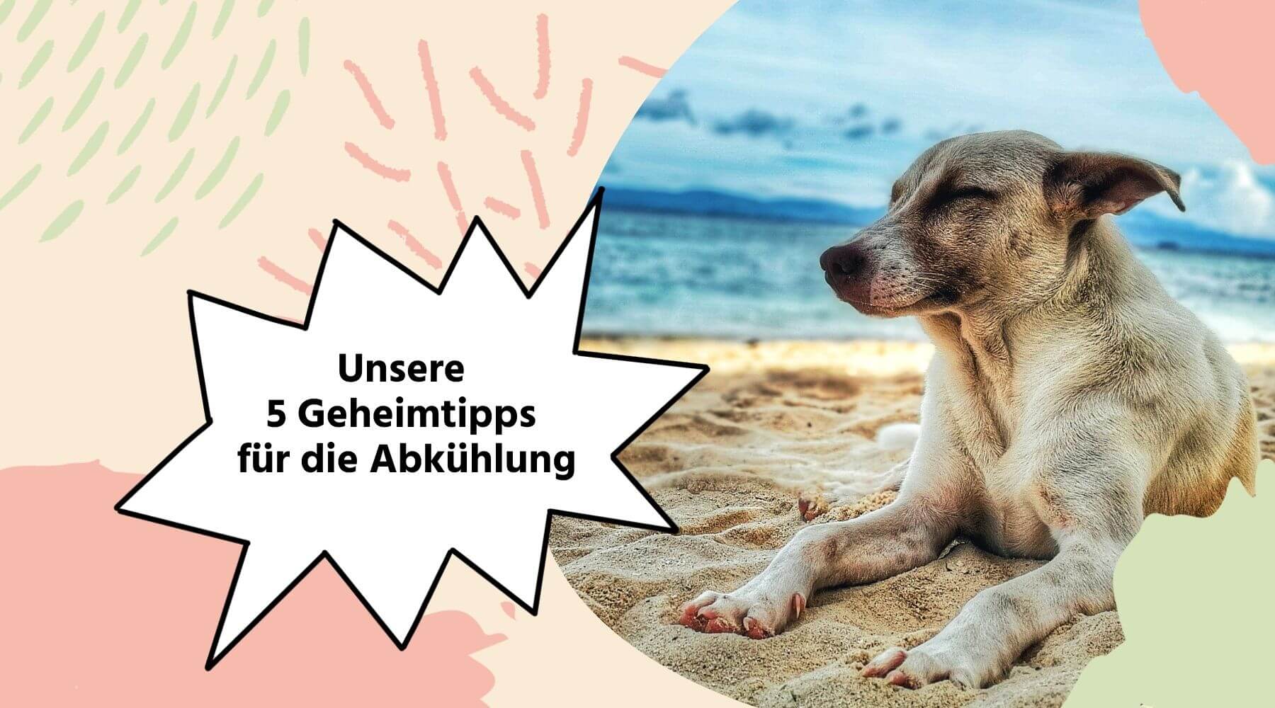 Hund liegt am Strand in der Sonne.